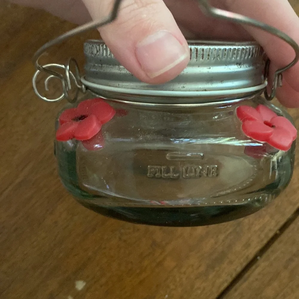 ☀️Baby Hummingbird Feeder